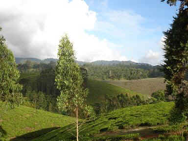 Amani12.JPG (41141 Byte)