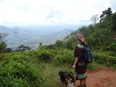 Amani4b.JPG (39696 Byte)