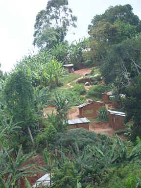 Amani5b.JPG (49514 Byte)