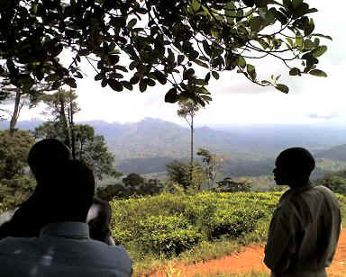 Amani7.JPG (40186 Byte)