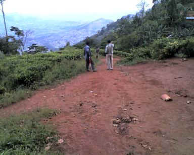 Amani7b.JPG (28547 Byte)