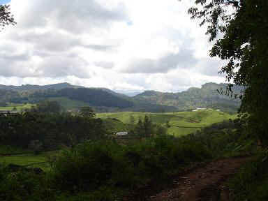 Amani8.JPG (33148 Byte)