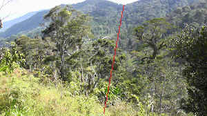 20110929_135024.jpg (43789 Byte)