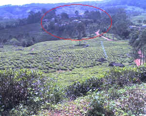 29-09-11_1400.jpg (76045 Byte)