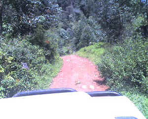 29-09-11_1402.jpg (68703 Byte)