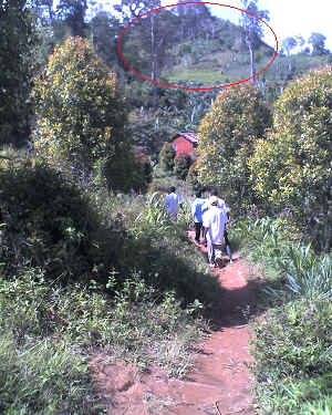 29-09-11_1442.jpg (91507 Byte)