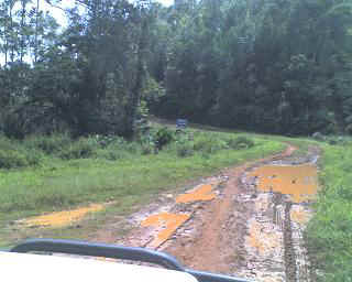 23-11-12_1025.JPG (26704 Byte)