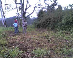 07-08-14_1157.jpg (73221 bytes)