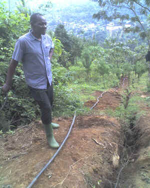 02-06-16_1436.jpg (74367 Byte)