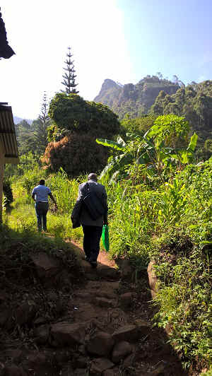 WP_20170221_15_53_48_Pro.jpg (150977 Byte)