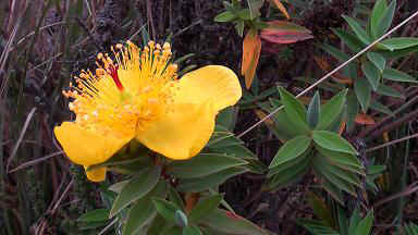 Karatu6.JPG (43635 Byte)