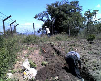 Kibaya4.JPG (44208 Byte)