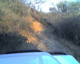 13-11-13_1758.JPG (25106 bytes)