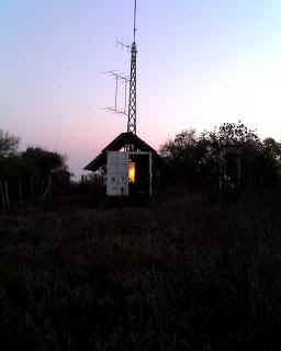 13-11-13_1844.JPG (11351 bytes)