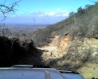 14-11-13_0825.JPG (24566 bytes)