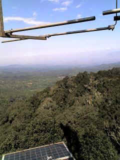 Kidia10.JPG (21326 Byte)