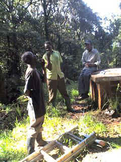 Kidia11.JPG (31663 Byte)