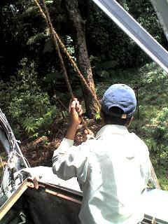 Kidia7.JPG (27108 Byte)