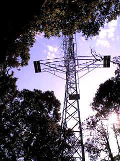 Kidia8.JPG (31918 Byte)