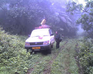 03-05-12_1200.jpg (11965 bytes)