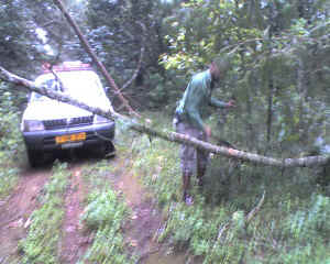 14-08-14_1114.jpg (68363 Byte)