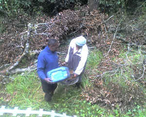 12-09-14_1145.jpg (77544 Byte)