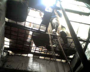 12-09-14_1246.jpg (54171 Byte)