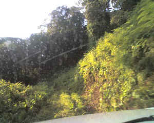 12-09-14_1714.jpg (62316 Byte)