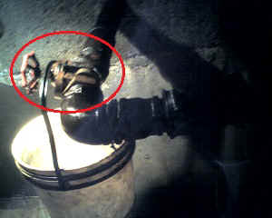 19-09-14_1424.jpg (48984 Byte)