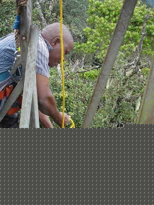 sola8.JPG (24483 Byte)