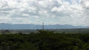 20110421_124243.jpg (8041 bytes)