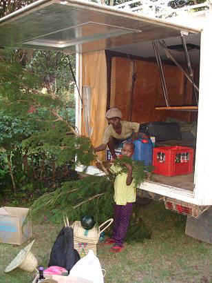 Kisoso10.JPG (19131 Byte)