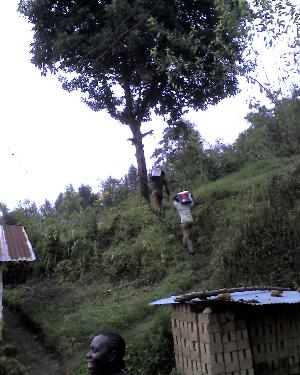 18-05-11_1127.jpg (29280 bytes)