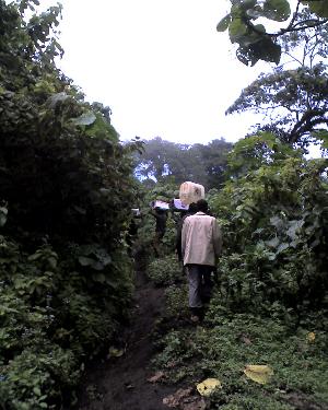 18-05-11_1214.jpg (29741 bytes)