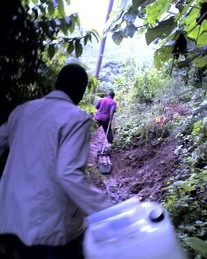 18-05-11_1607.jpg (30307 bytes)