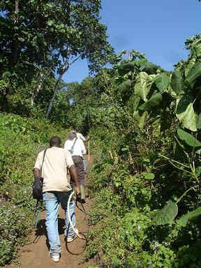 Kivesi 9.JPG (64386 Byte)