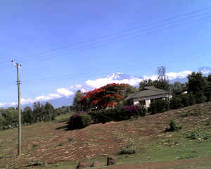 20-12-12_0923.jpg (50510 Byte)