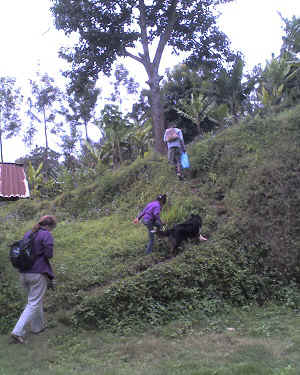 31-07-14_1313.jpg (76691 Byte)