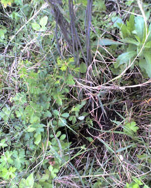 31-07-14_1417.jpg (115445 Byte)