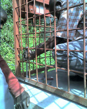 15-06-16_1459.jpg (79677 bytes)