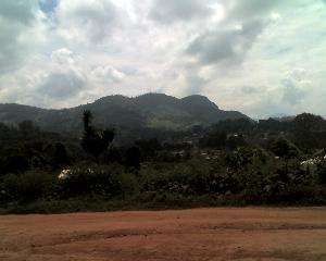 30-11-11_1122.jpg (10537 bytes)