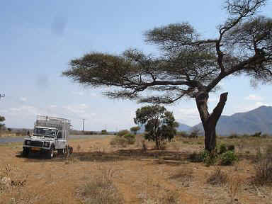 Tanga1.JPG (15103 Byte)