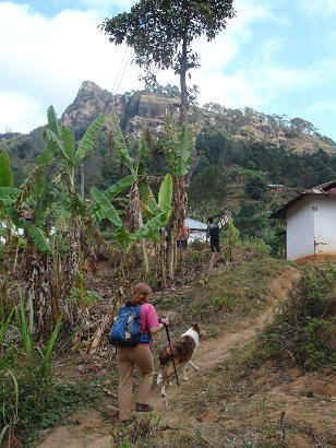 Tanga4.JPG (20636 Byte)