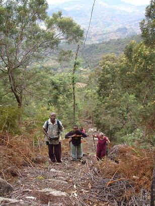 Mlalo10.JPG (61460 Byte)