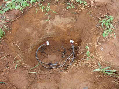 Mlalo6.JPG (56798 Byte)