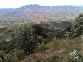 Mlalo14.JPG (20720 Byte)