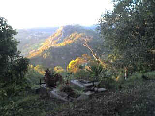 Mlalo9.JPG (20764 Byte)