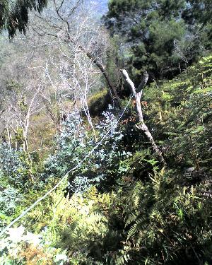 20-04-11_1409.jpg (48852 bytes)