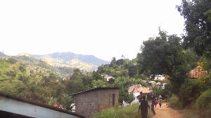 20110420_163704.jpg (9984 bytes)