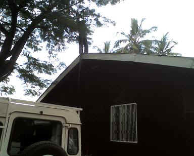 01-07-11_1102.JPG (26420 Byte)